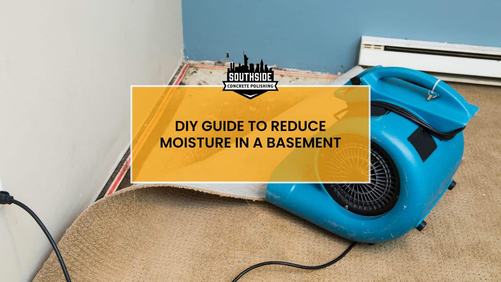DIY Guide to Reduce Moisture in a Basement